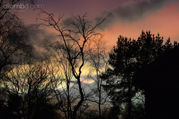 Sometimes mother nature hands you an ace, other times it's a goose egg.