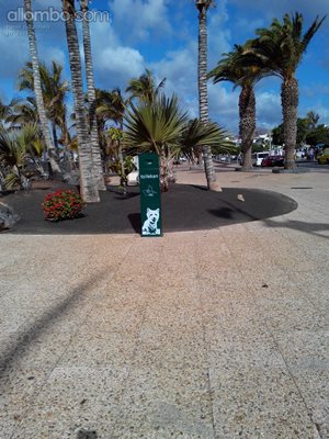 Pics from my rehab trip to Lanzarote spring 2015