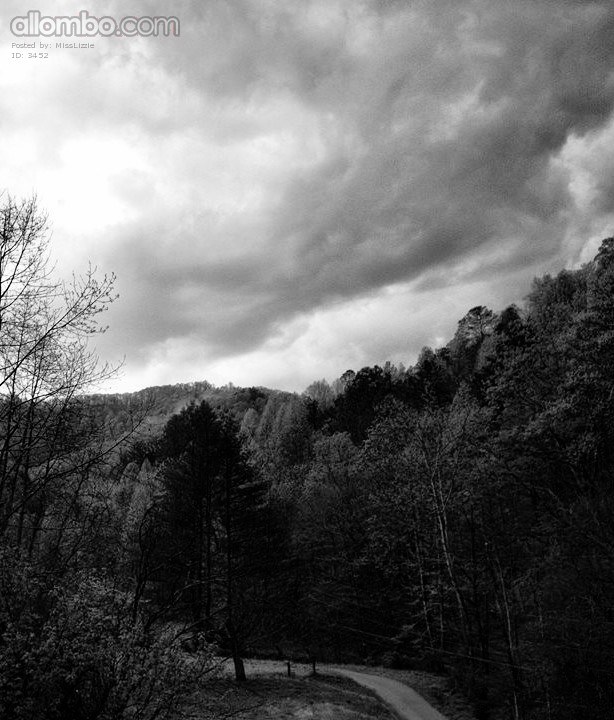 Dirt road leading home