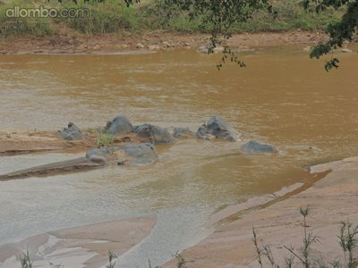 Wild and wonderful ... the Elephants River in all it's glory ...