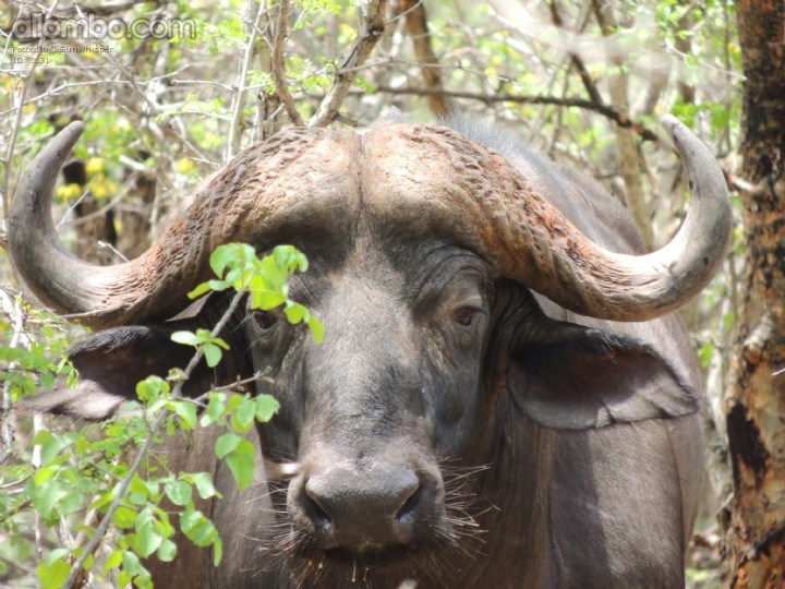 There is a good reason why I am one of the big five ...