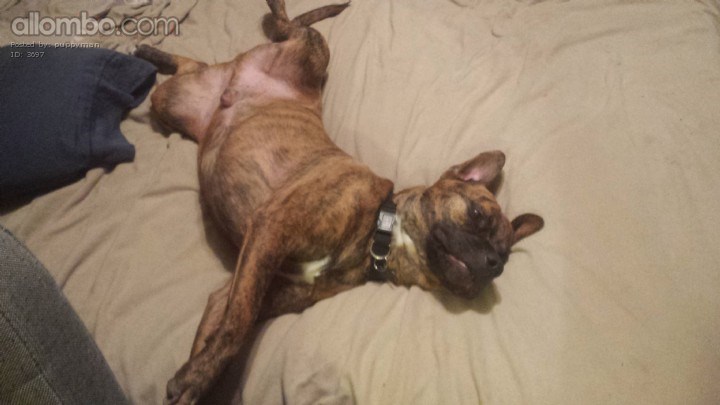 You didn't want to lay down, did you?