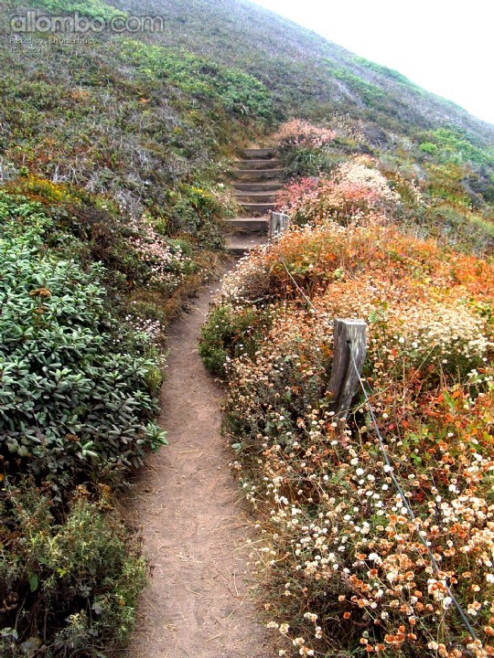 A road worth traveling.