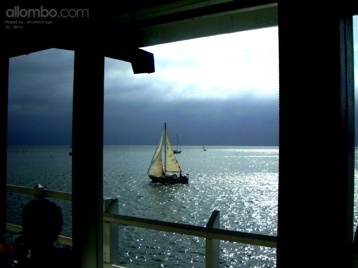 A window and some wine.