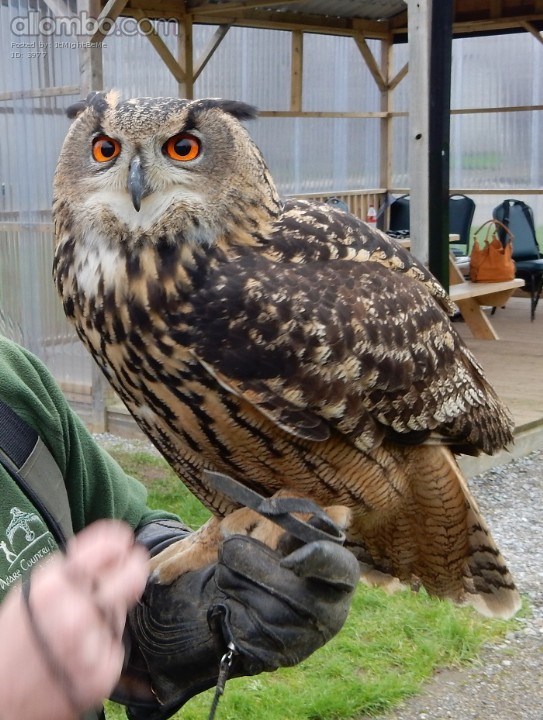 WHOooo You lookin at? :)