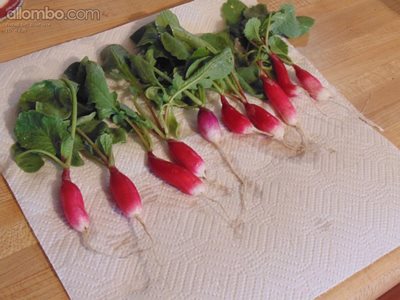 1st batch of radishes from our garden and they were very nice...
